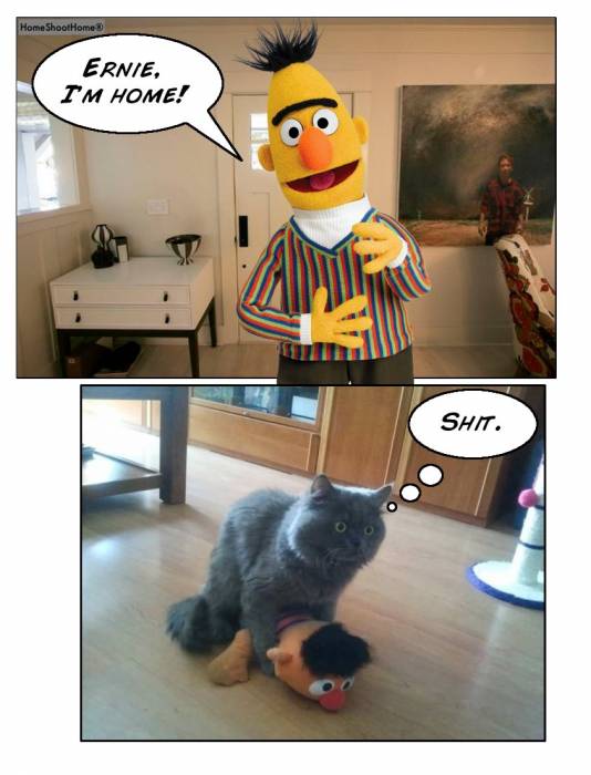 ernie-bert-cat-comic.jpg